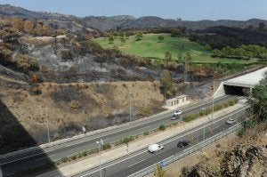 Un campo de golf contrasta con el arbolado quemado por el incendio forestal, al pie mismo de la autopista de la Costa del Sol. ::                             JOSELE-LANZA