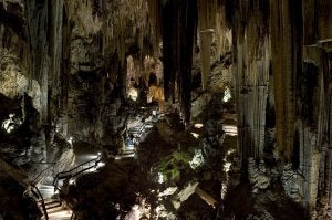 La Cueva de Nerja, descubierta en enero de 1959, ha recibido más de quince millones de visitantes. ::
E. C.