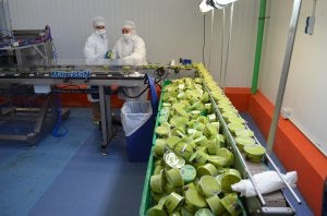Así se fabrica el guacamole