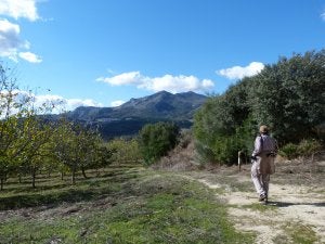 Este gran itinerario circular recorre parajes montañosos como el que hay entre los valles del Genal y del Guadiaro. :: Sur