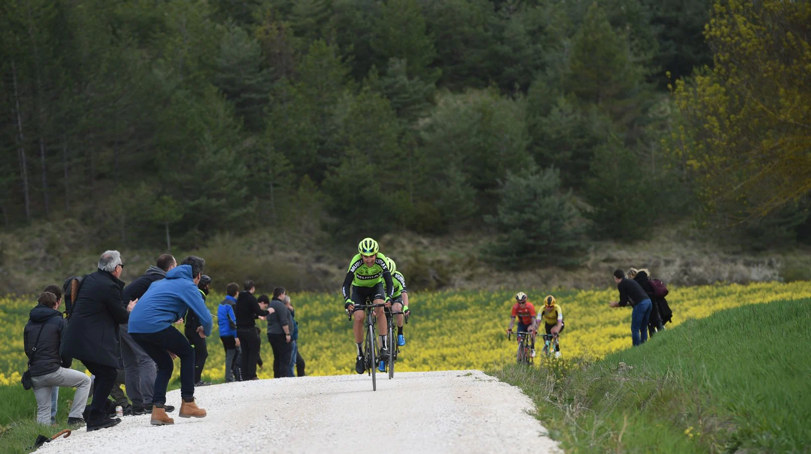 El francés del Quick-Step Julian Alaphilippe ha sido el vencedor de la segunda etapa de la Vuelta al País Vasco que ha transcurrido entre Zumarraga y Gorraitz.