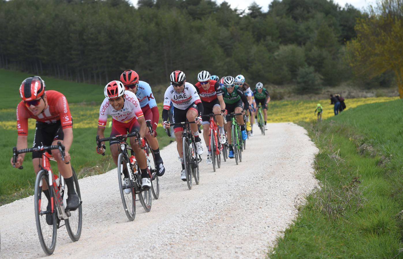 El francés del Quick-Step Julian Alaphilippe ha sido el vencedor de la segunda etapa de la Vuelta al País Vasco que ha transcurrido entre Zumarraga y Gorraitz.