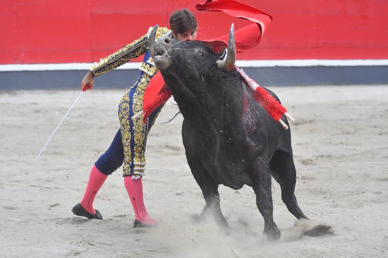 Oreja para &#039;Paulita&#039; en la última corrida de Azpeitia