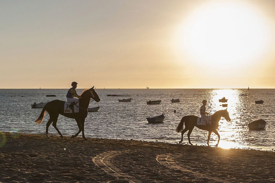 Se ha celebrado la 172 edición de las Carreras de Caballos de Sanlúcar de Barrameda. Cientos de personas se acercaron a admirar el acto, declarado de Interés Turístico Internacional, llenando la playa y los palcos. 