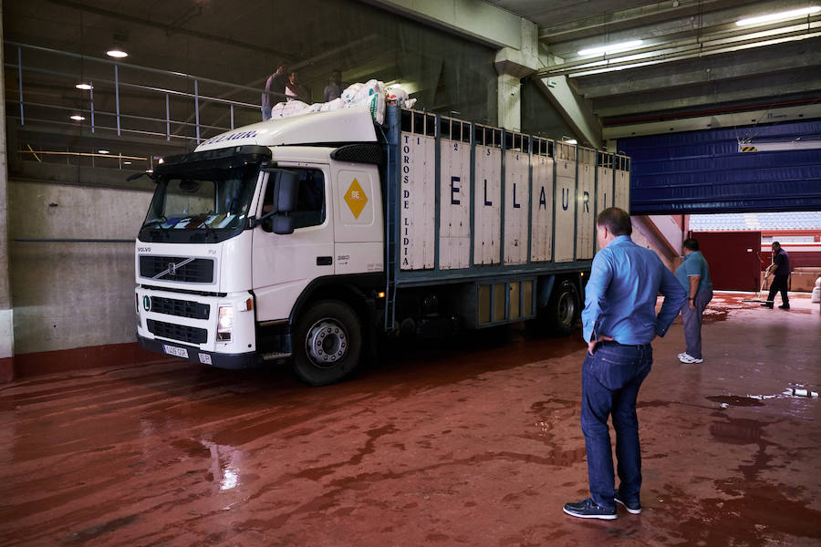 Los primeros toros, los sobreros y los bueyes han llegado a Illunbe para la feria taurina de la Semana Grande donostiarra..
