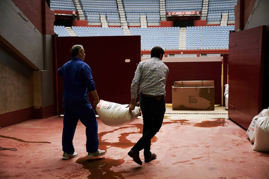 Los primeros toros, los sobreros y los bueyes han llegado a Illunbe para la feria taurina de la Semana Grande donostiarra..