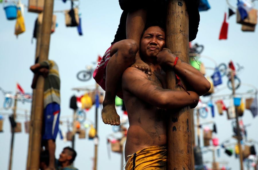 Indonesia celebra su 72 aniversario de independencia y por ello, a lo largo del territorio, se celebra la tradicional 'Panjat Pinang'. En una explanada se colocan arboles tallados, previamente lubricados con regalos en la parte más alta y los nativos deben alcanzar la cima para conseguir los presentes.