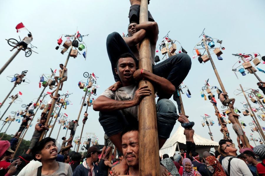 Indonesia celebra su 72 aniversario de independencia y por ello, a lo largo del territorio, se celebra la tradicional 'Panjat Pinang'. En una explanada se colocan arboles tallados, previamente lubricados con regalos en la parte más alta y los nativos deben alcanzar la cima para conseguir los presentes.