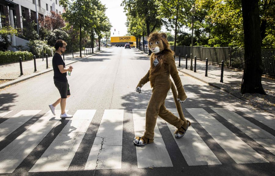 Berlin oraniza una convención de tres días para donde los participantes se disfrazan de peluches y animales. Algunos de ellos recorren la ciudad con su particular vestimenta y piden indicaciones a las audoridades del lugar.