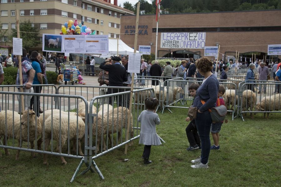La edición de este año del Artzain eguna de Legazpi ha sido la más multitudinaria ya que ha contado con más de 400 pastores y familiares de la asociación Euskal Ar-tzainak Ameriketan (dentro de la que se aglutinan aquellos vascos que tuvieron que emigrar a América para desempeñar el oficio).