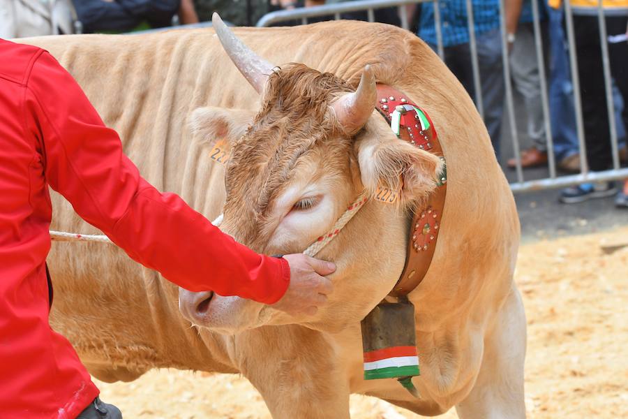 El Concurso de Queso de Pastor es el evento principal de la Feria extraordinaria. 
