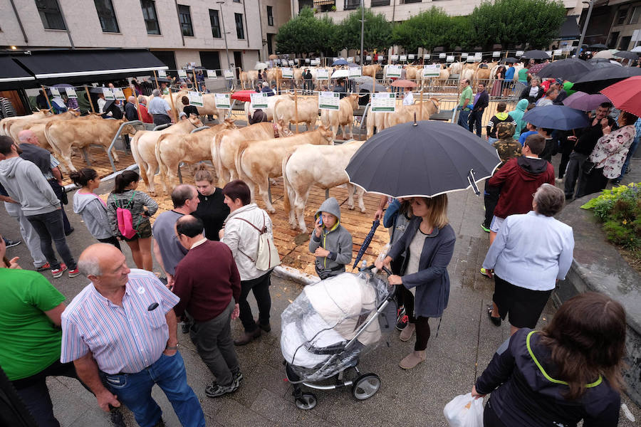 El Concurso de Queso de Pastor es el evento principal de la Feria extraordinaria. 