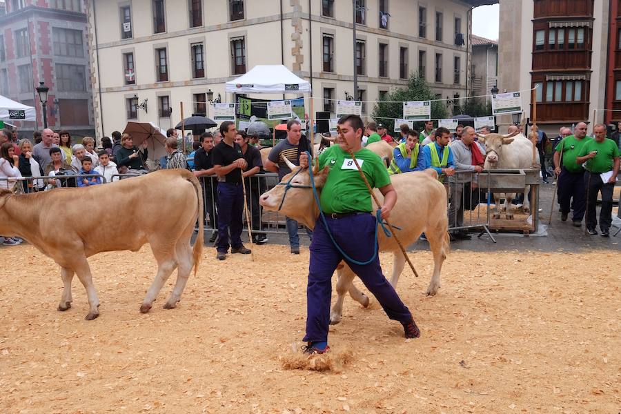 El Concurso de Queso de Pastor es el evento principal de la Feria extraordinaria. 