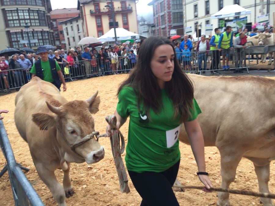 El Concurso de Queso de Pastor es el evento principal de la Feria extraordinaria. 