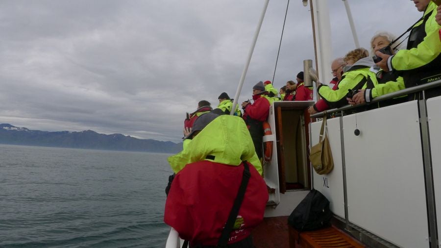 Húsavíck es una ciudad marinera al norte de Islandia y es conocida por ser el centro de avistamiento de ballenas.