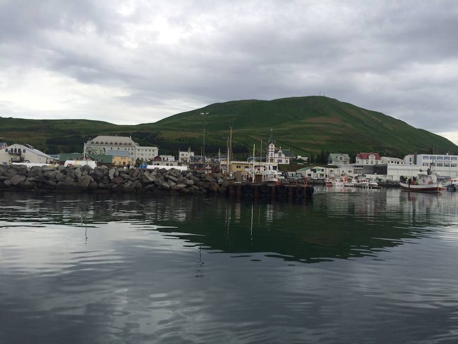 Húsavíck es una ciudad marinera al norte de Islandia y es conocida por ser el centro de avistamiento de ballenas.