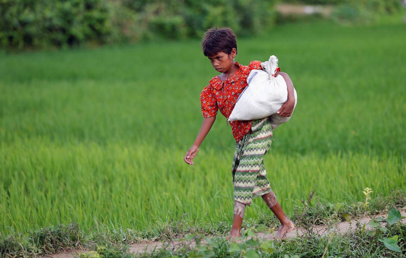 Más de 420.000 refugiados han llegado a Bangladés huyendo de la persecución por parte del ejércido de Myanmar sumergidos en el hambre, las enfermedades y la violencia. Son los rohinyá, una minoria musulmana que pertenece a un país de mayoria budista. La mayor parte de los refugiados son niños que llegan desacompañados y mujeres.