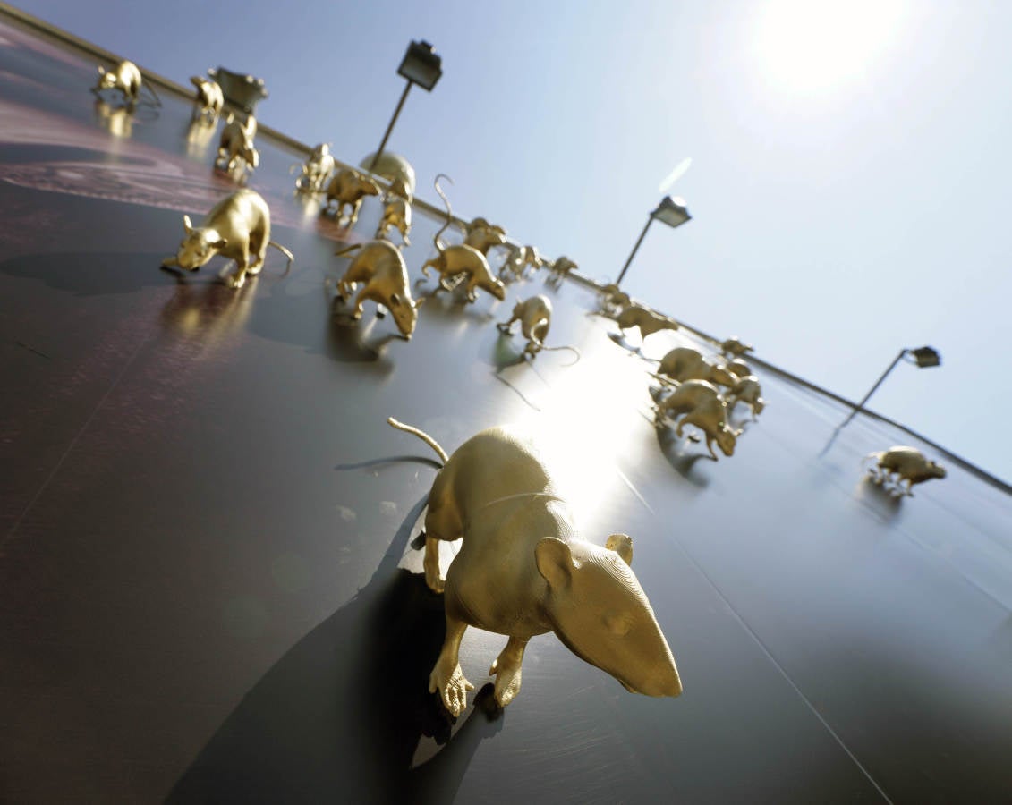 Emma Suárez, Ángela Molina y Wim Wenders, director de la película que inaugura la Sección Oficial, han protagonizado las llegadas de este jueves a San Sebastián