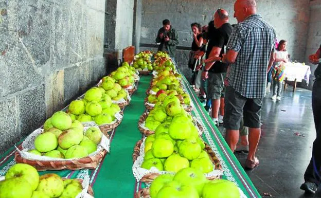 Las diversas actividades de las que podrán disfrutar vecinos y demás personas en la Sagar Uzta giran en torno a la manzana. 