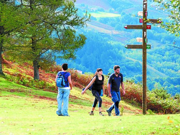 Cruce de senderos en el monte de Etxalar. 