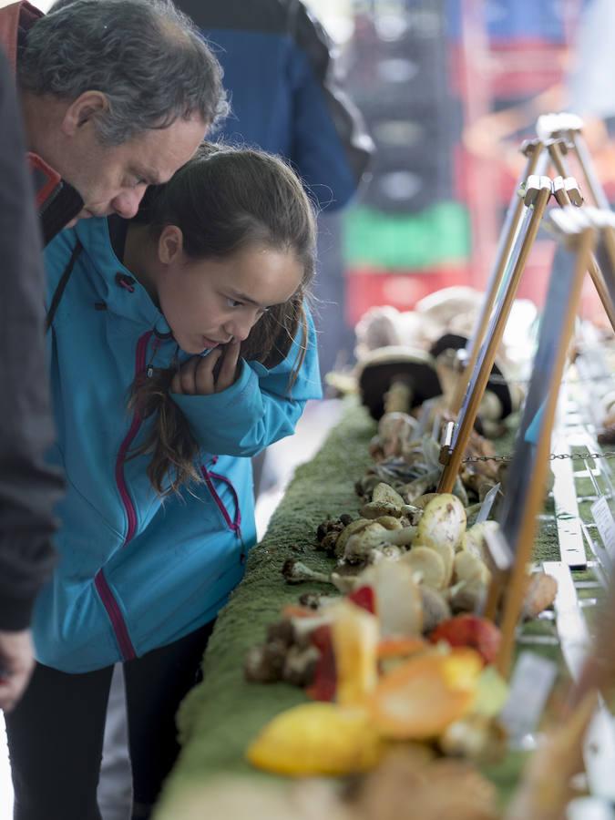 'Perretxiko Jaia´ cierra hoy las XIX Jornadas de Micología y Gastronomía organizadas por el Club Deportivo de Loiola. Esta fiesta donde reinan las setas se ha celebrado de 10:30 a 14:30 horas en la plaza de las Lavanderas, y a pesar de la lluvia han sido muchos los que se han acercado al barrio. 