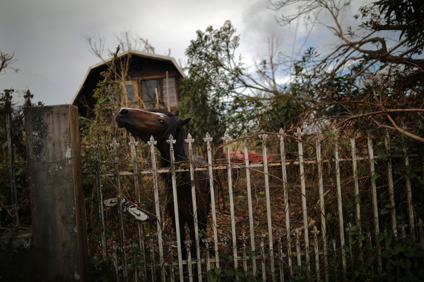 La isla quedó devastada tras el paso del huracán. Hay localidades que aún no tienen luz ni agua potable y los accesos por carretera son complicados en algunos puntos. Las imágenes hablan por sí solas