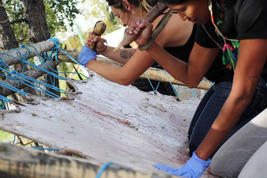 La organización Dene Nahjo fue fundada para promover la transmisión cultural y la preservación de las comunidades indígenas. En las imágenes, miembros de la asociación trabajan en un campamento de curtido de pieles en Yellowknife, en los territorios del noroeste de Canadá.