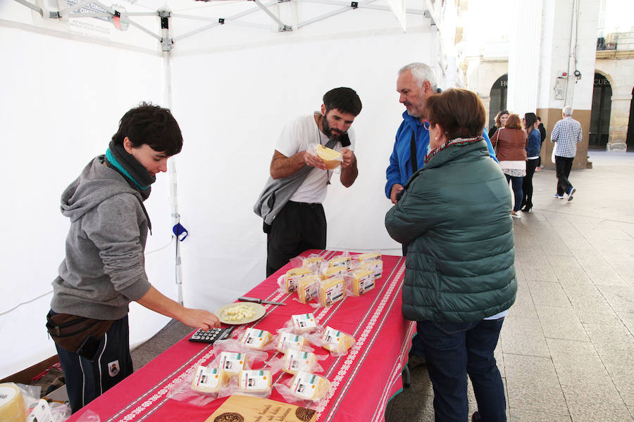 Una veintena de pastores comecializan con la obligada etiqueta el queso elaborado en Aralar