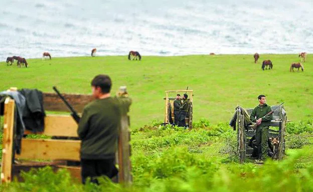 En Jaizkibel. Varios cazadores, ocupando puestos habilitados en Hondarribia, aguardando el paso de palomas