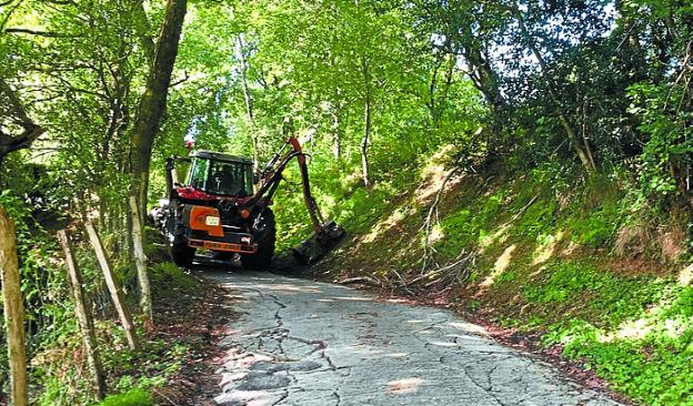 Dos veces al año se desbrozan los caminos rurales del municipio.