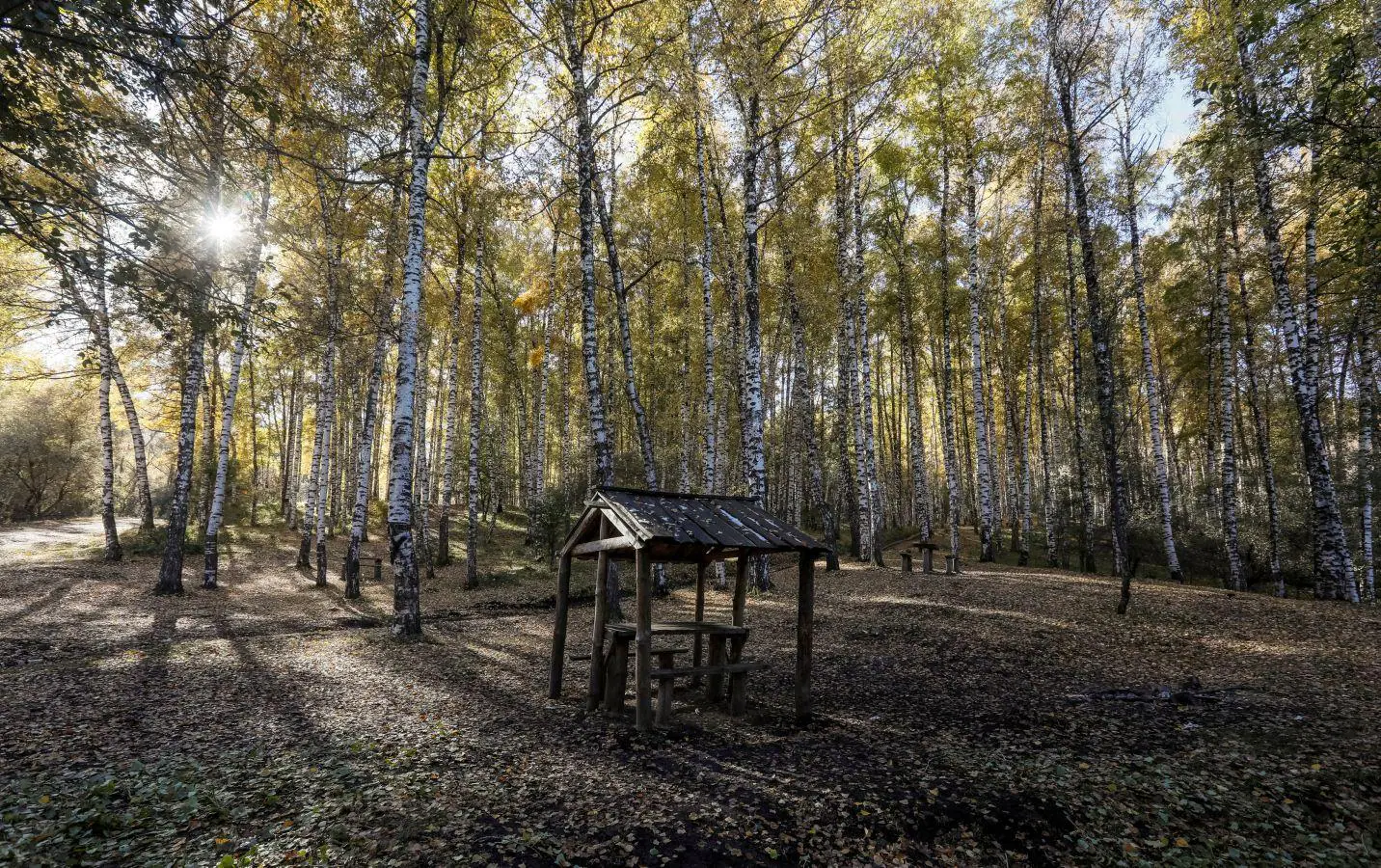 Paisajes de medio mundo se despiden del verde para dar paso a los tonos amarillos y marronáceos