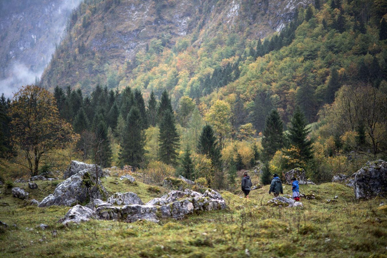 Paisajes de medio mundo se despiden del verde para dar paso a los tonos amarillos y marronáceos