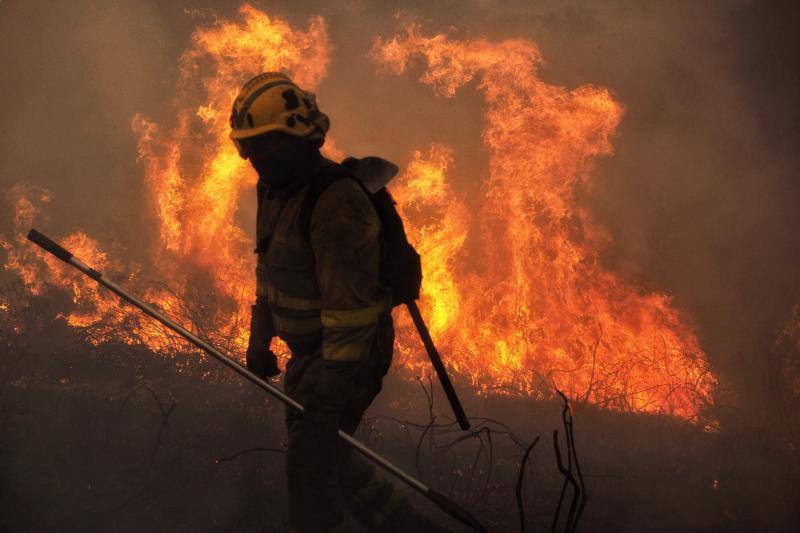 Unos 350 brigadas, 220 motobombas, cuarenta palas y una veintena de medios aéreos trabajan en la comunidad gallega para combatir los incendios que arrasan más de 4.000 hectáreas en 146 nuevos focos desde el viernes