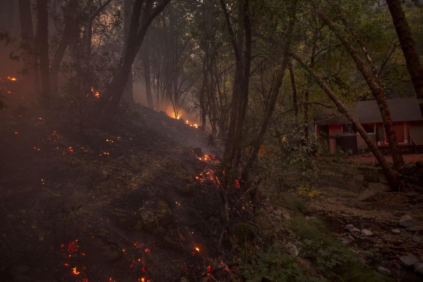 Al menos 40 personas han muerto, muchas siguen desparecidas y alrededor de 5.700 edificios han sido destruidos desde que hace una semana los incendios comenzasen a arrasar California. 