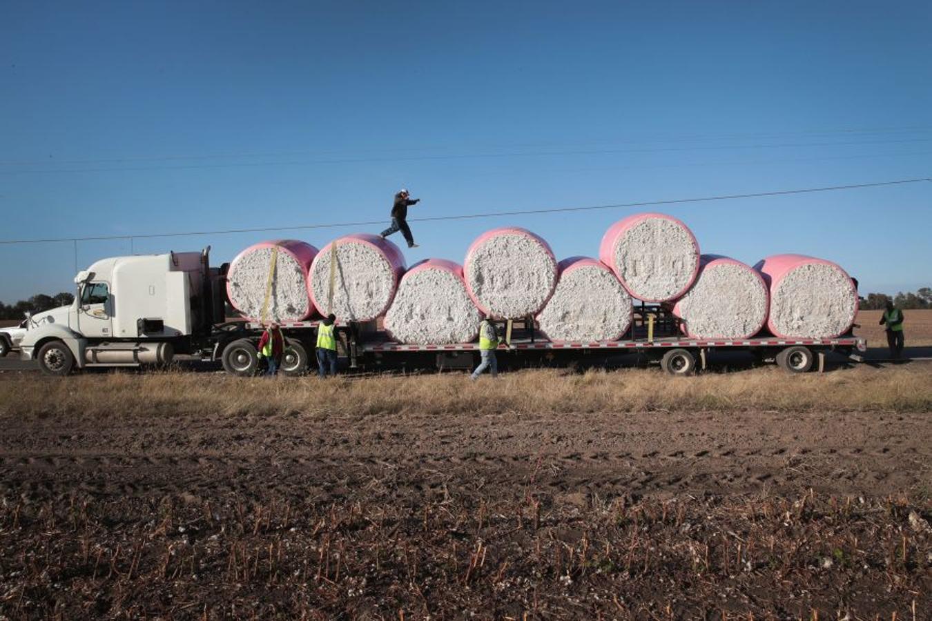 A pesar de los daños sufridos en la cosecha de algodón en EEUU debido al huracán Harvey, se espera que la producción de algodón exceda los niveles del año pasado