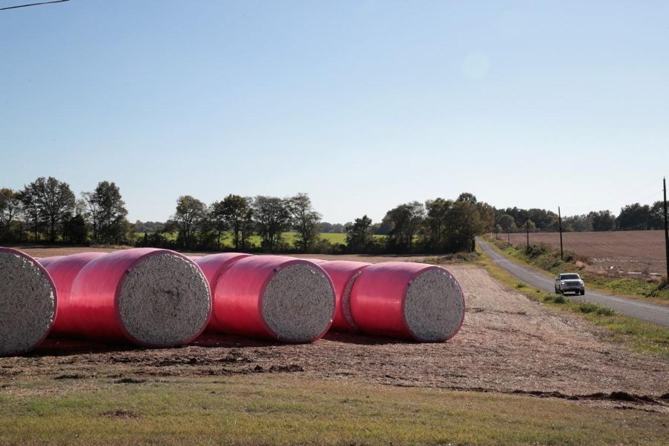 A pesar de los daños sufridos en la cosecha de algodón en EEUU debido al huracán Harvey, se espera que la producción de algodón exceda los niveles del año pasado