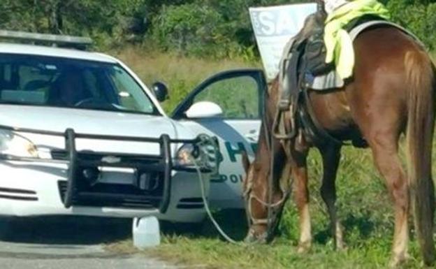 Detenida una mujer en EE UU por «conducir un caballo bajo el efecto del alcohol»