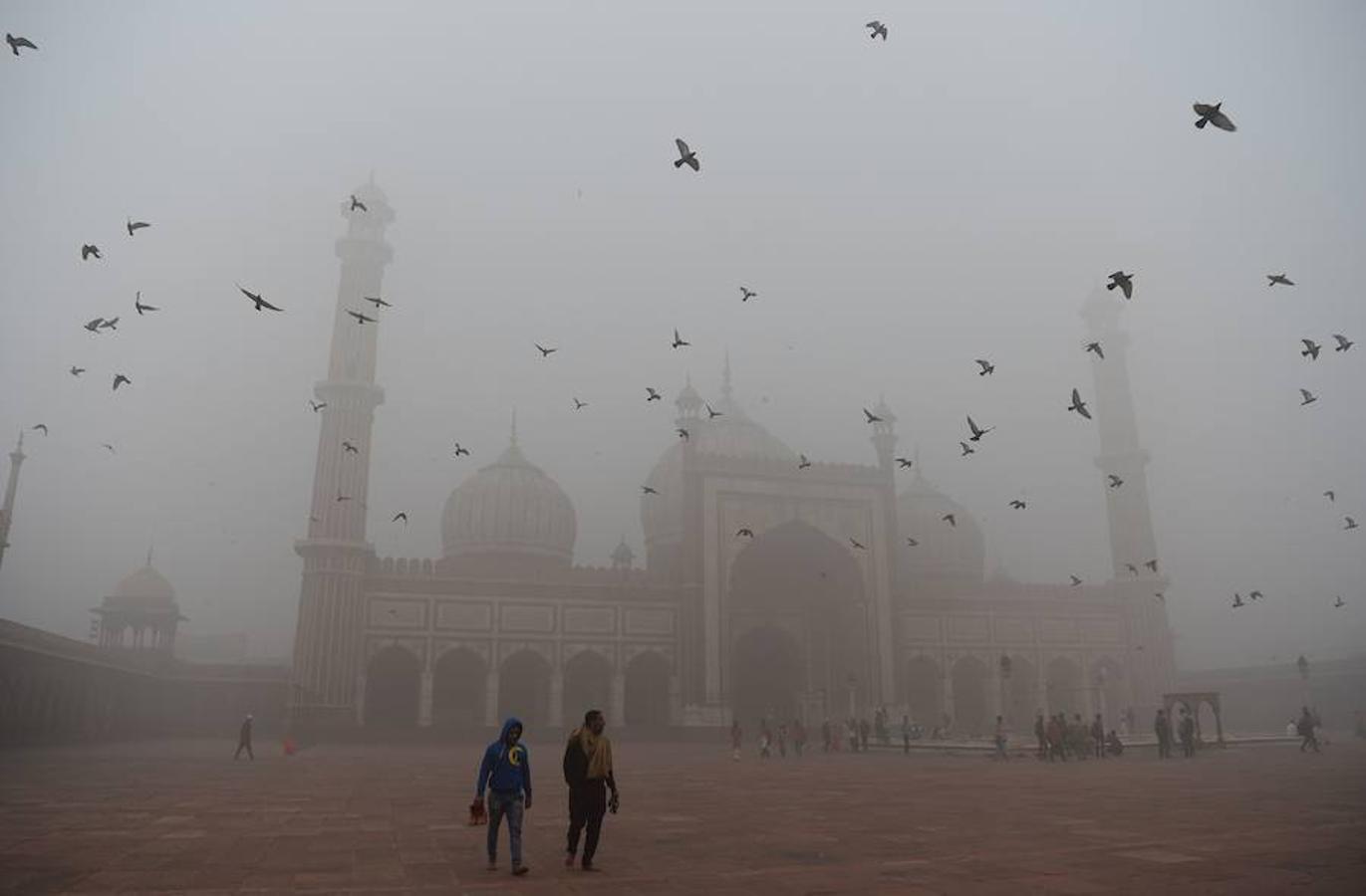 La capital de India, Nueva Delhi se encuentra cubierta por una niebla de contaminación. Esta situación se extiende por toda la zona norte del país y ha provocado el cierre de escuelas, estaciones de tren y aeropuertos. La nube, además, ha obligado a la gente a mantenerse en sus casas o salir a la calle con mascarilla.