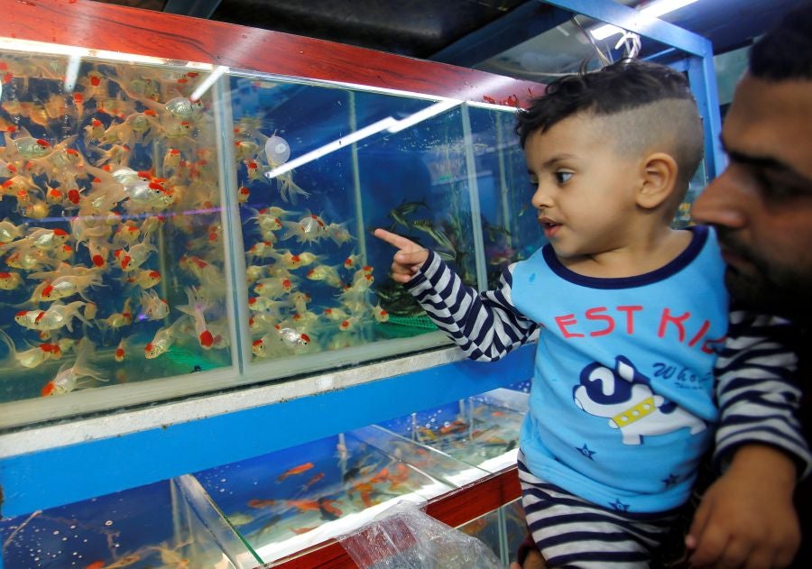 Todos los viernes el mercado de animales de Baghdad se convierte en un espectáculo lleno de vida