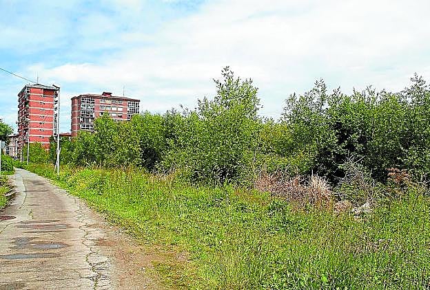 Complejo asistencial. La parcela libre junto a Arbes acogerá la futura residencia y otros servicios.