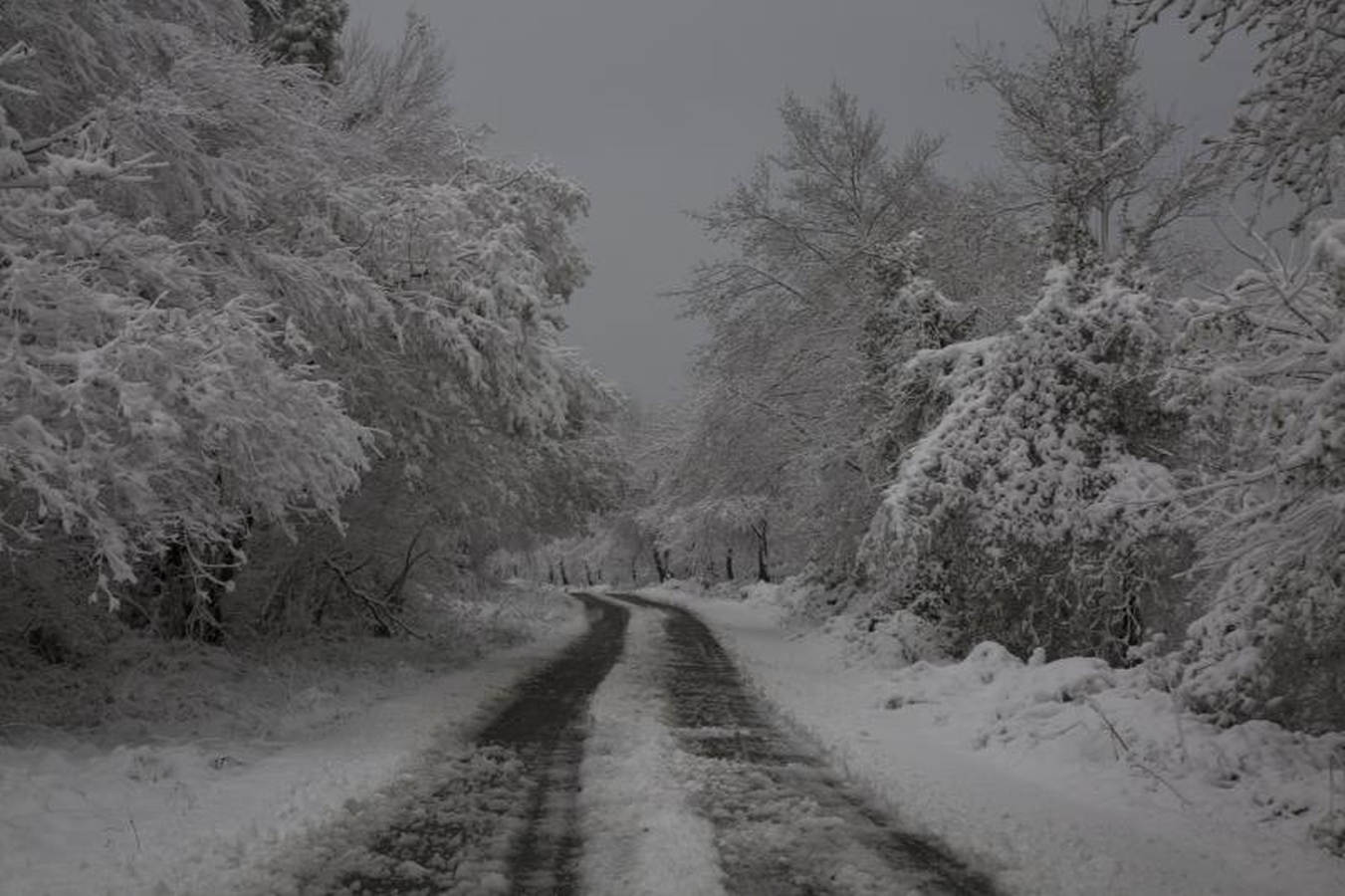 La primera nevada ha dejado estampas únicas en el territorio