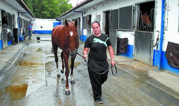 'Wild King' y Ana Imaz, en el hipódromo donostiarra. 