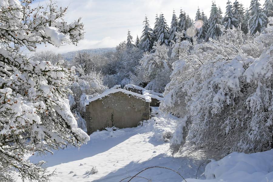La nieve ha dejado este domingo bellas estampas invernales y familiares en la zona de Aralar, Baraibar y Lekunberri.