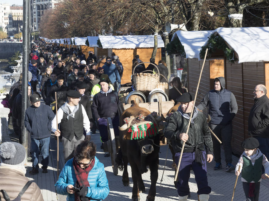 San Sebastián celebra con gran éxtito de público la IV. Sagardo Apurua.