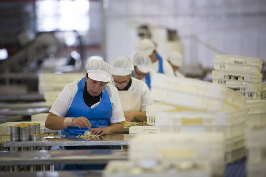 Así se consigue conservar el sabor de las rías gallegas