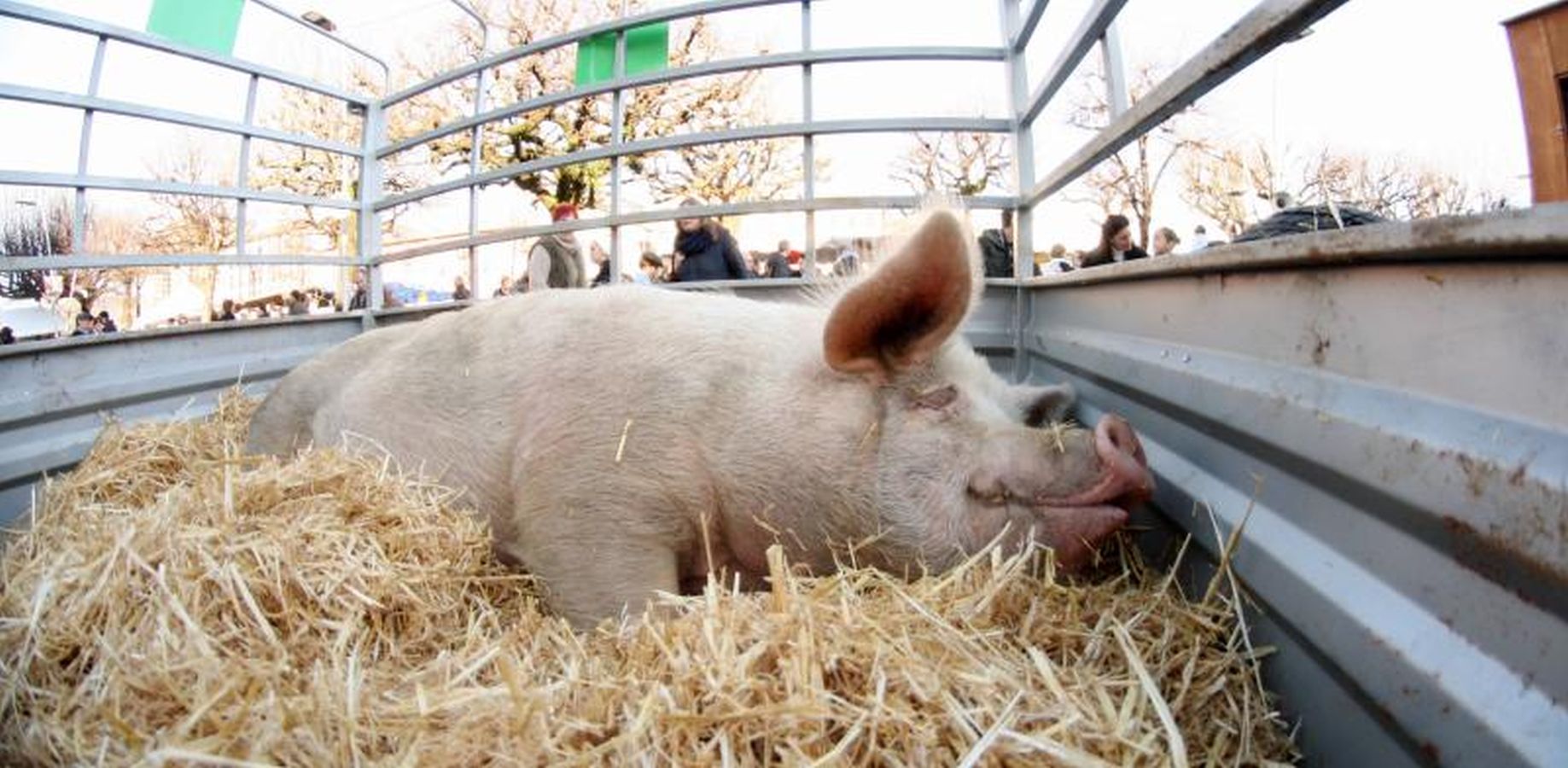 Mayores y niños disfrutan de los talos y la txistorra que se ofrecen en lo diferentes puestos de la localidad