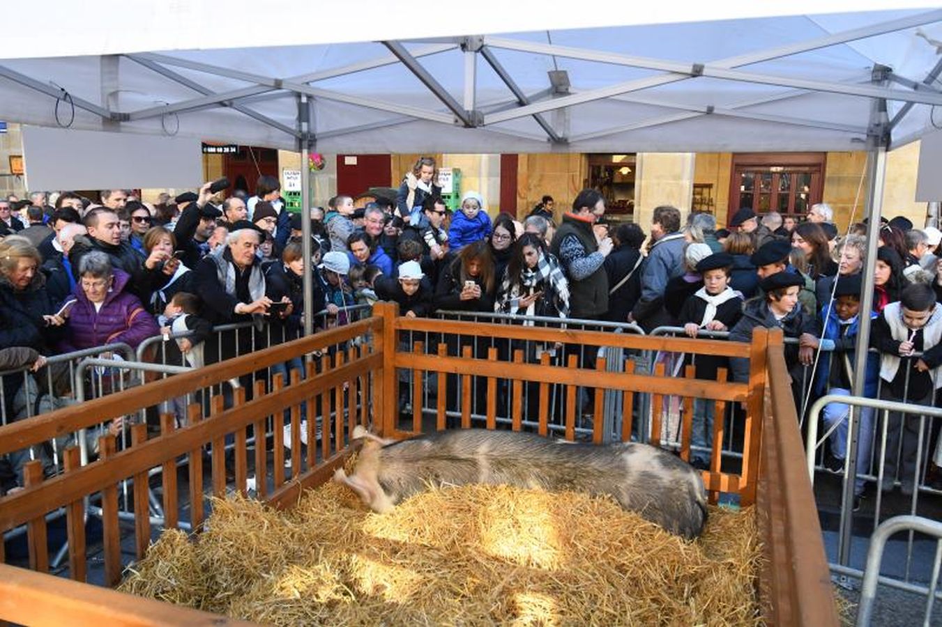 Arranca Santo Tomás y Donostia está lista para recibir a la gente.