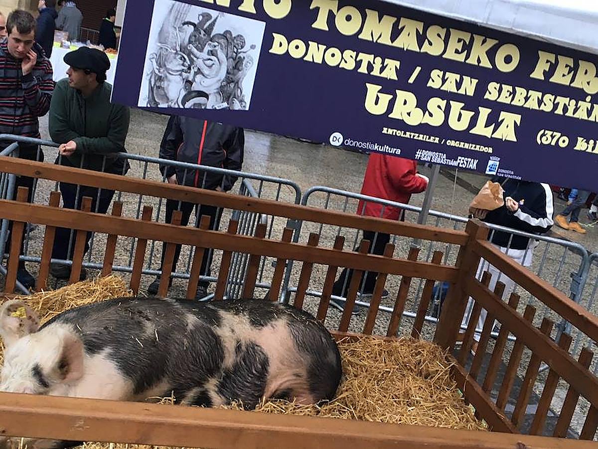 Arranca el Santo Tomas de 2017 y la plaza Constitución ya está lista para recibir a la gente. Los más madrugadores ya han podido ver a Úrsula.