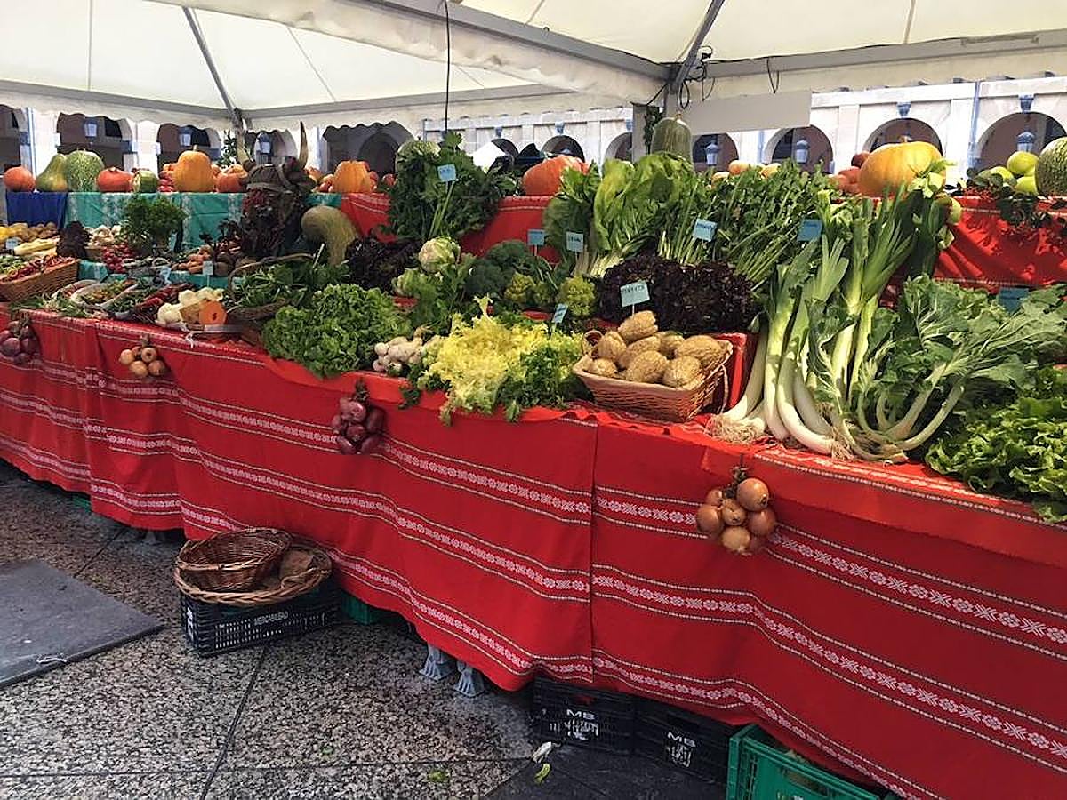 Arranca el Santo Tomas de 2017 y la plaza Constitución ya está lista para recibir a la gente. Los más madrugadores ya han podido ver a Úrsula.