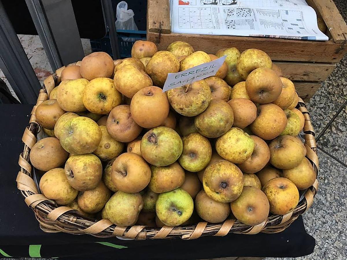Arranca el Santo Tomas de 2017 y la plaza Constitución ya está lista para recibir a la gente. Los más madrugadores ya han podido ver a Úrsula.